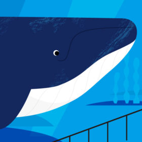 Step 2017.7-1｜Envelope